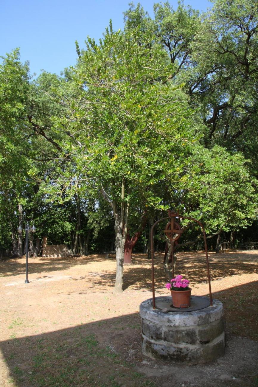 Agriturismo Casale Zuccari Caprarola Dış mekan fotoğraf