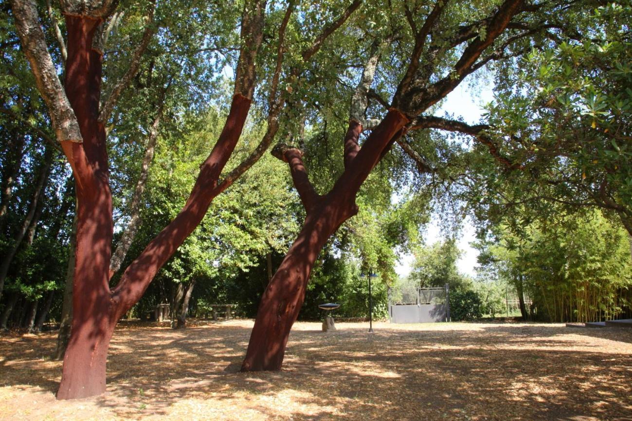 Agriturismo Casale Zuccari Caprarola Dış mekan fotoğraf