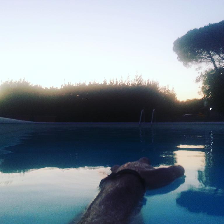 Agriturismo Casale Zuccari Caprarola Dış mekan fotoğraf