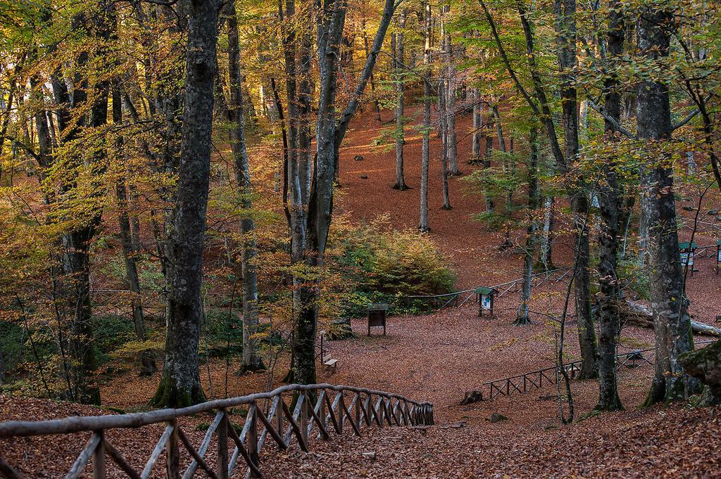 Agriturismo Casale Zuccari Caprarola Dış mekan fotoğraf